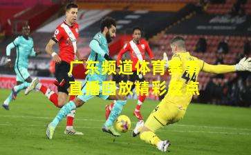 广东频道体育赛事直播回放精彩盘点
