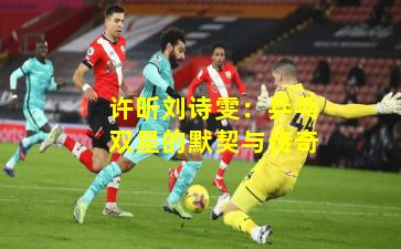 许昕刘诗雯：乒乓双星的默契与传奇