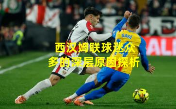 西汉姆联球迷众多的深层原因探析
