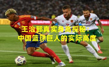 王治郅真实身高探秘:中国篮球巨人的实际高度