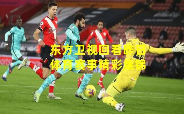 东方卫视回看昨日体育赛事精彩集锦